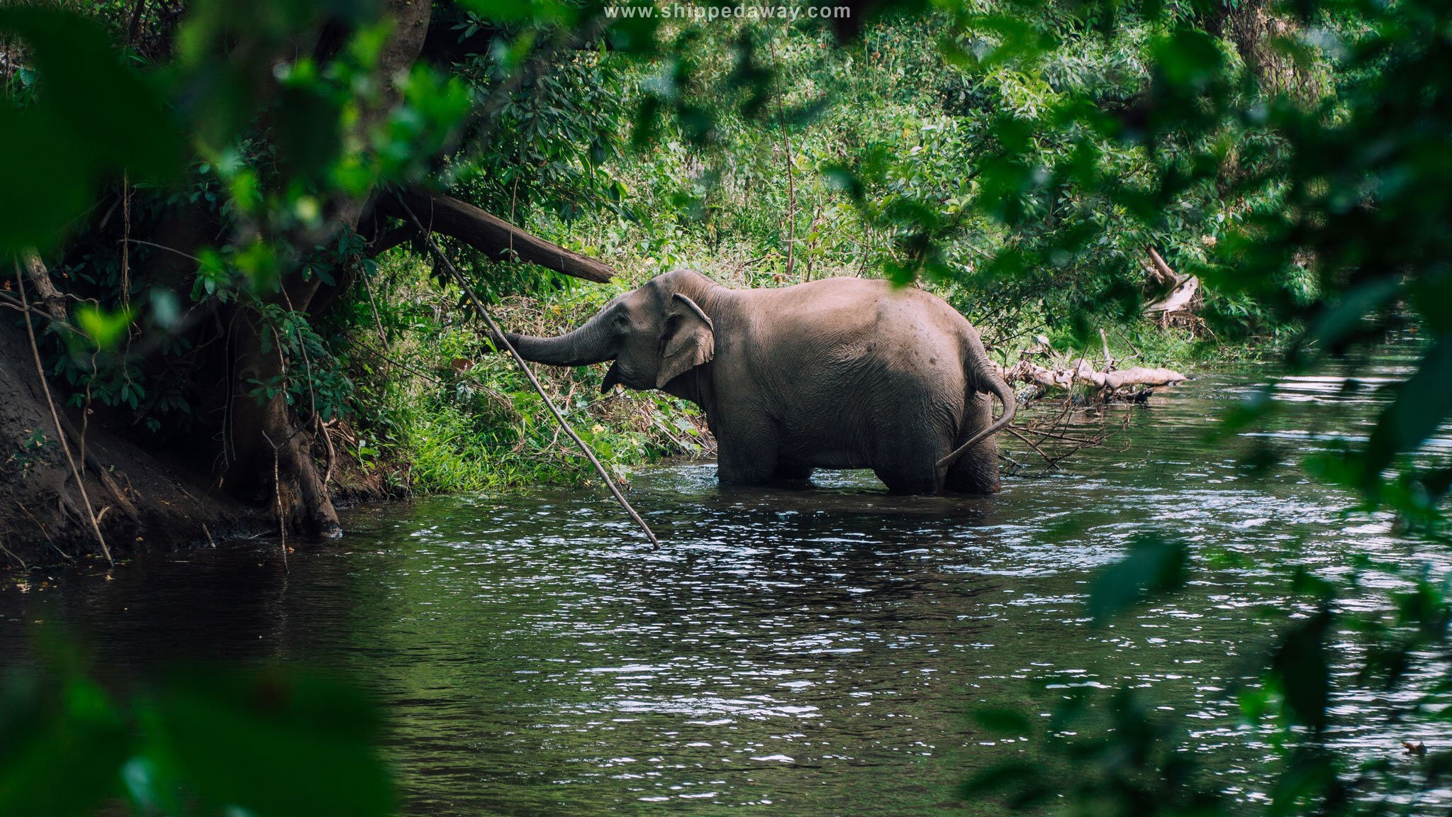 Experience Dak Lak Tours with sustainable exploration